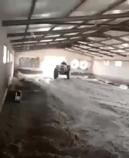 Bewegter Picturedump 490