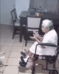 Bewegter Picturedump 490