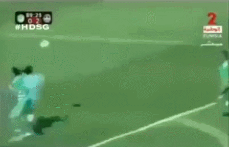 Bewegter Picturedump 251