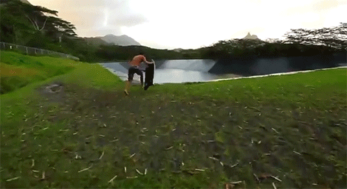 Bewegter Picturedump 251