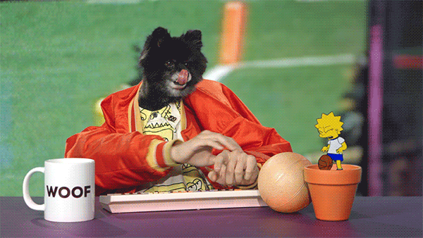 Bewegter Picturedump 251