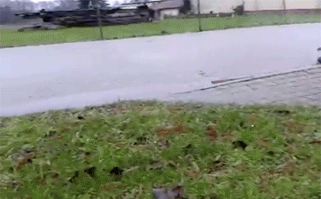 Bewegter Picturedump 251