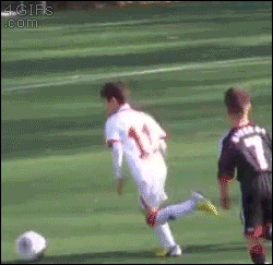 Bewegter Picturedump 251