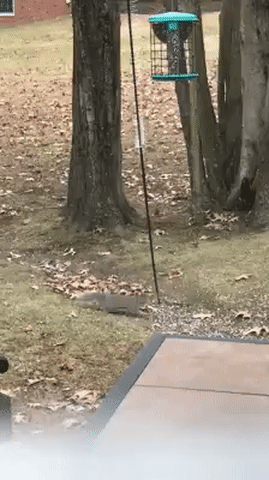 Bewegter Picturedump 360