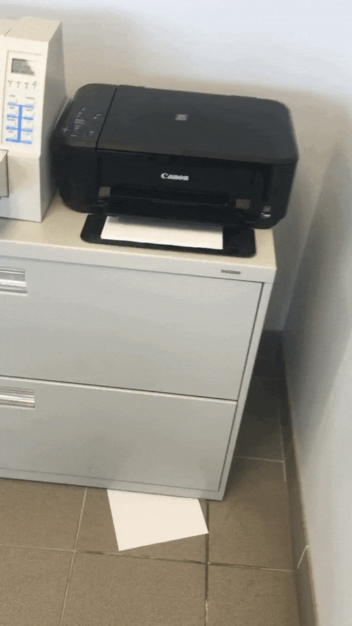 Bewegter Picturedump 360