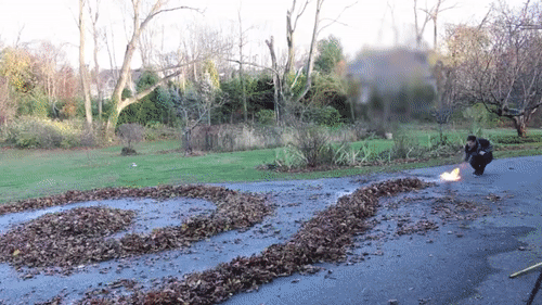 Bewegter Picturedump 360