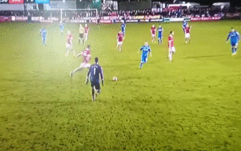 Bewegter Picturedump 360