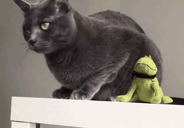 Bewegter Picturedump 438