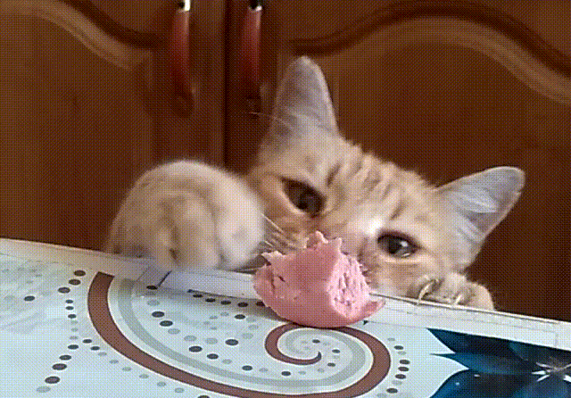 Bewegter Picturedump 438