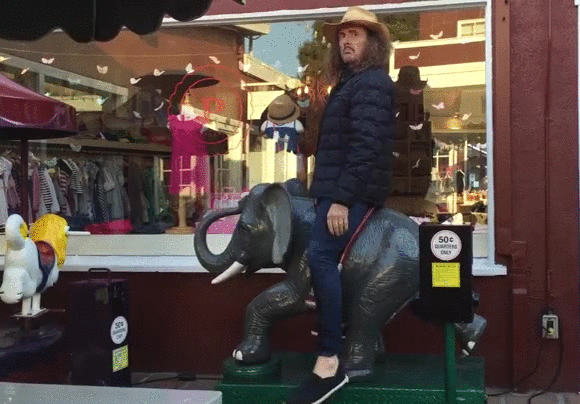 Bewegter Picturedump 438