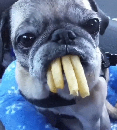 Bewegter Picturedump 438