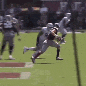 Bewegter Picturedump 499