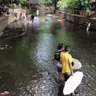 Bewegter Picturedump 499