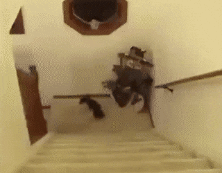 Bewegter Picturedump 499