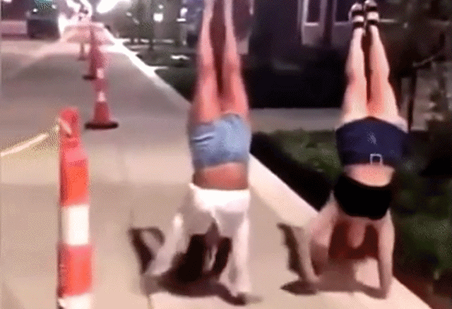 Bewegter Picturedump 499