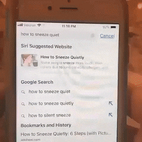 Bewegter Picturedump 499