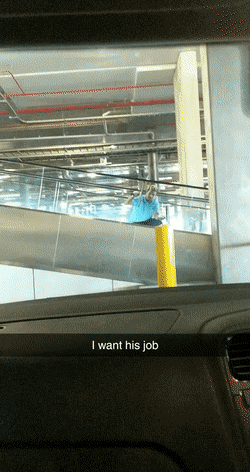 Bewegter Picturedump 499