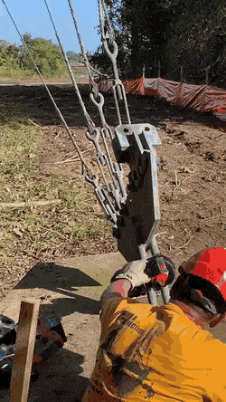 Bewegter Picturedump 499