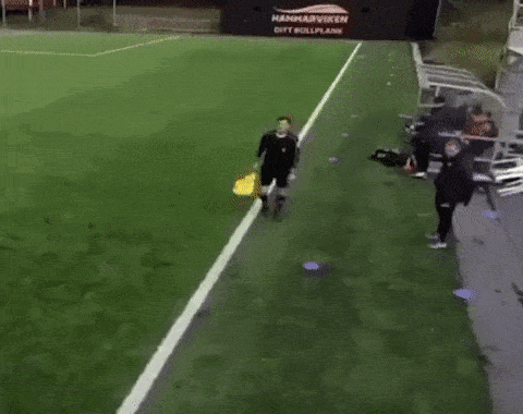 Bewegter Picturedump 499