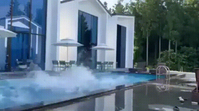 Bewegter Picturedump 499