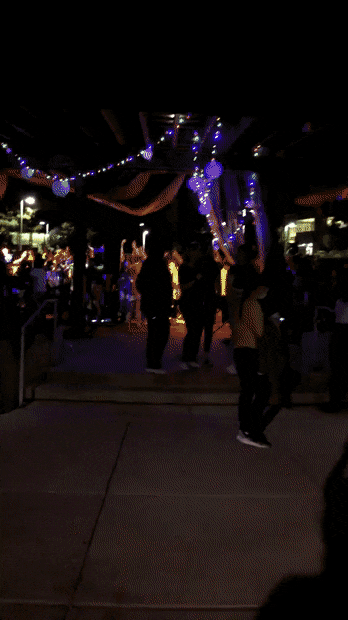 Bewegter Picturedump 499