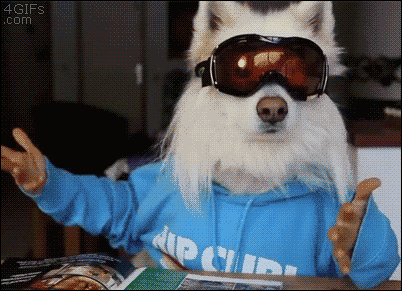 Bewegter Picturedump 247