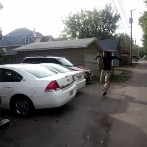 Bewegter Picturedump 247