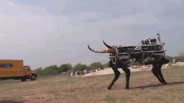 Bewegter Picturedump 247