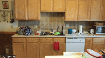 Bewegter Picturedump 247