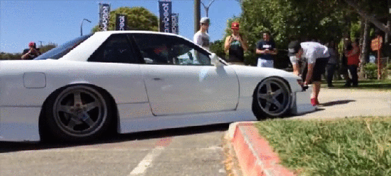 Bewegter Picturedump 299