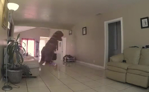 Bewegter Picturedump 299