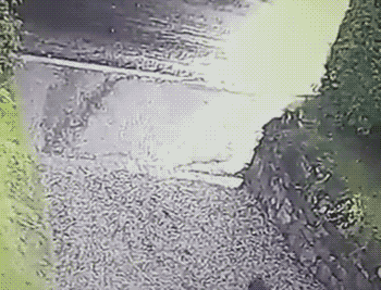 Bewegter Picturedump 299