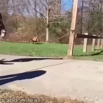 Bewegter Picturedump 299