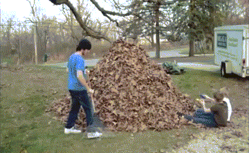 Bewegter Picturedump 208