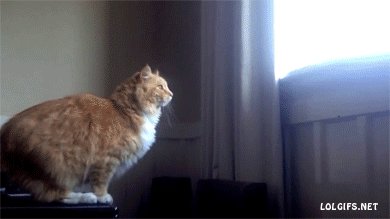 Bewegter Picturedump 208