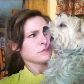 Bewegter Picturedump 208