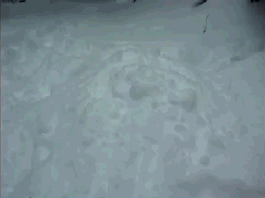 Bewegter Picturedump 208