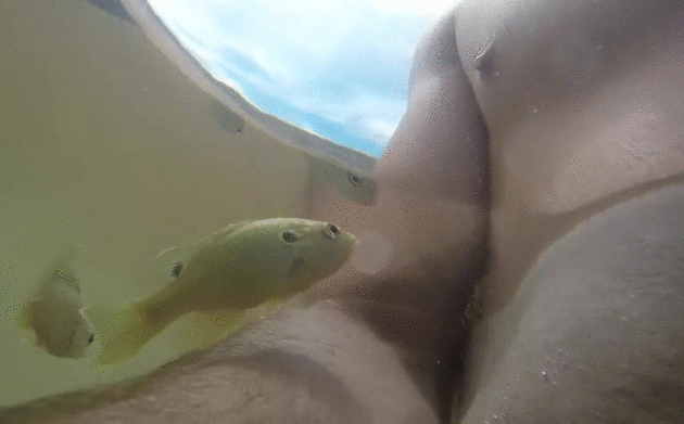 Bewegter Picturedump 286