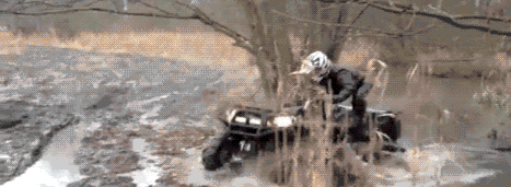 Bewegter Picturedump 286