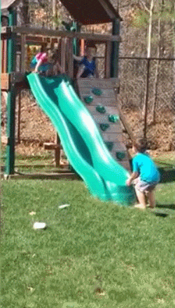 Bewegter Picturedump 460