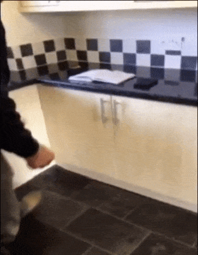 Bewegter Picturedump 460