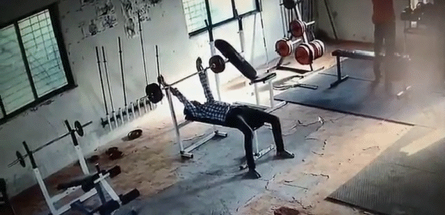 Bewegter Picturedump 460