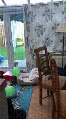 Bewegter Picturedump 460