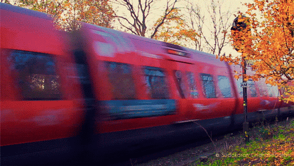 Bewegter Picturedump 460