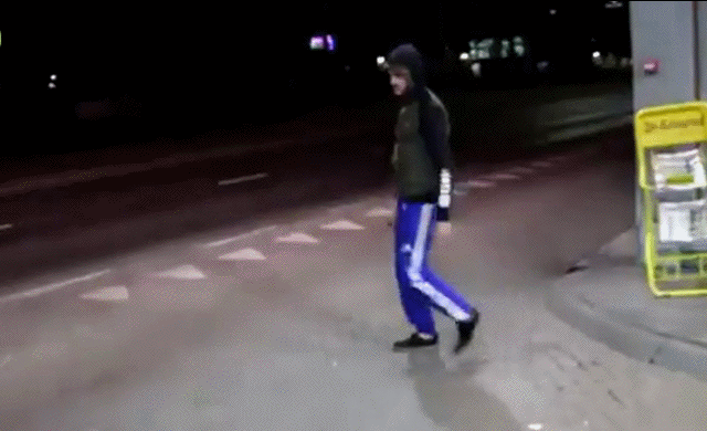 Bewegter Picturedump 460