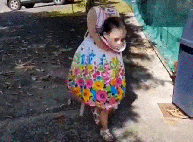 Bewegter Picturedump 460