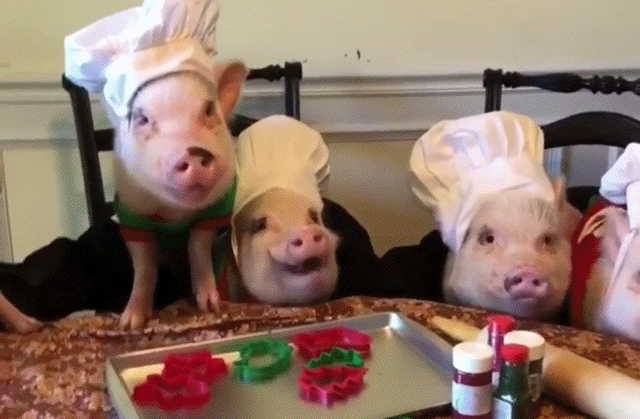 Bewegter Picturedump 460