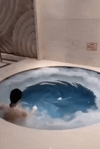 Bewegter Picturedump 460