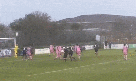 Bewegter Picturedump 460