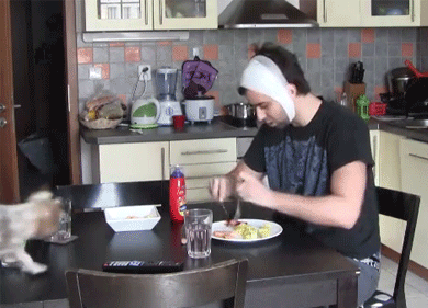 Bewegter Picturedump 256